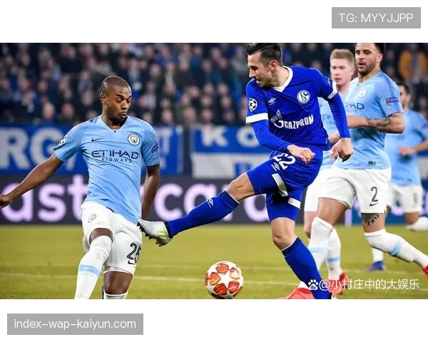 水晶宫双中卫高空优势明显 定位球进攻威胁巨大